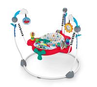 Saro 2 In 1 Airplane Activity Jumper