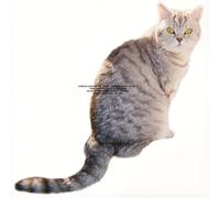 Sarter Kit - What I Am And What I'm Not [VINYL]