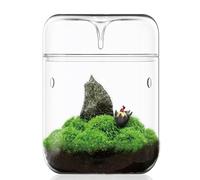SARUFO Small Glass Plant Terrarium 4.7"X7" Inches Succulent Air Planter Fern Moss Micro-Landscape Vase for Home Garden Office Tabletop Decoration Container with Lid Indoor Wardian Copyright Patent