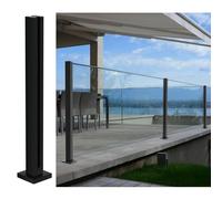 SaryEdge Balustrade Post for 3/8" or 1/2" Glass, 304 Stainless Steel Glass Railing Post for Steps, Balconies, Staircases, Decks, Patio Stairs, Pool Fence ，Mid Post-Heigh，Mid Post-Height- 125cm/49.2in