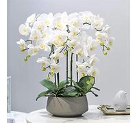 SaryEdge Classic Orchids Artificial Potted Faux Orchids with Vase Artificial Phalaenopsis Flowers Plant Arrangement Artificial Flowers,A,A