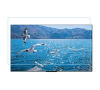 SaryEdge Frosted Anti Glare/Anti Blue Light/dustproof TV Screen Protector, 40-65 Inch Filter Film, Protect Your Eyes 50in1095x616mm (65in1440x809mm