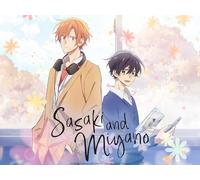 Sasaki and Miyano