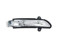 SASFZ Turn Signal For Mercedes For Benz W211 W221 W219 2007-2010 E320 E350 E550 S600 Rearview Mirror Turn Signal Light Side Turn Signal Light(Right)