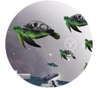 Sasha - How to Wear Raybans Well [Vinyl LP] [VINYL]