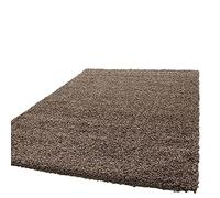 SASONS® Quality Shaggy Rugs Thick Pile Soft Plain Modern Warm Living Room Small X-Large Non-Shedding Area Rugs Home Decor Floor Bedroom Carpet (Taupe, 60cm X 110cm - 2Ft X 3.61Ft)
