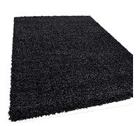 SASONS® Quality Shaggy Rugs Thick Pile Soft Plain Modern Warm Living Room Small X-Large Non-Shedding Area Rugs Home Decor Floor Bedroom Carpet (Anthracite, 120cm X 170cm - 4Ft X 5.6Ft)