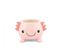 Sass & Belle Axolotl Planter - Indoor Plant Pot, Animal Design for Cactus or Succulent, Ceramic Planter for Home Décor, Flower Pot Designed by Sass and Belle
