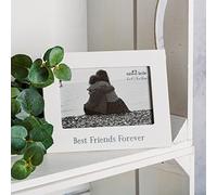 Sass & Belle Best Friends Forever Photo Frame White