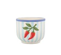 Sass & Belle Handpainted Chilli Pepper Planter