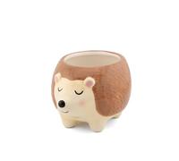Sass & Belle Hedgehog Planter - Indoor Plant Pot, Animal Design for Cactus or Succulent, Ceramic Planter for Home Décor, Flower Pot Designed by Sass and Belle