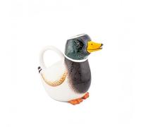 Sass & Belle Mallard Duck Watering Can - Indoor Plant Accessories, Garden Decor, Novelty Gift for Plant Lovers, Decorative Metal Can, Small Quirky Home Decor, Designed by Sass and Belle