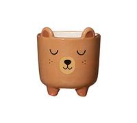 Sass & Belle Mini Bear Planter On Legs