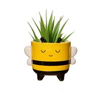 Sass & Belle Mini Bee Planter On Legs - Cute Animal Planter for Houseplants, Quirky Decorative Flower Pot for Home Décor, Ceramic Novelty Pot, Part of Sass and Belle selection of Plant Pots