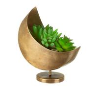 Sass & Belle Mini Celestial Moon Gold Planter H 16cm x W 6.6cm