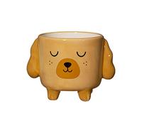 Sass & Belle Mini Cockapoo Planter On Legs - Cute Animal Planter for Houseplants, Quirky Decorative Flower Pot for Home Décor, Ceramic Novelty Pot, Part of Sass and Belle selection of Plant Pots