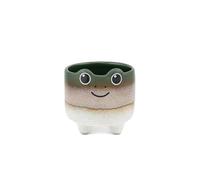 Sass & Belle Mojave Frog Planter - Colourful Mini Pot for Succulents, Cactus, Flower Bulbs, Quirky Home Décor, Indoor Garden Accessory, Plant Pot Gift Idea