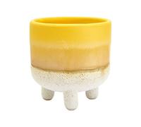 Sass & Belle Mojave Glaze Yellow Planter