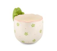 Sass & Belle Peeking Frog Planter - Indoor Plant Pot, Animal Design for Cactus or Succulent, Ceramic plant pots for Home Décor, Flower Pot Designed by Sass and Belle