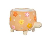 Sass & Belle Tortoise planter - Colourful Mini Pot for Succulents, Cactus, Flower Bulbs, Quirky Home Décor, Indoor Garden Accessory, Plant Pot Gift Idea