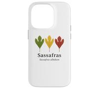 Sassafras Leaves - Sassafras albidum Tree Lover Case for iPhone 14 Pro
