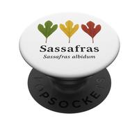 Sassafras Leaves - Sassafras albidum Tree Lover PopSockets Adhesive PopGrip