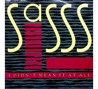 Sasss - I Didn't Mean It At All