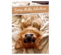 Sassy, fluffy, fabulous - A year of Pekingese charm (Wall Calendar 2027 DIN A4 portrait), CALVENDO 12 Month Wall Calendar: Let yourself be enchanted, ... playful nature will set the house alight