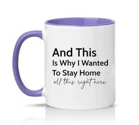 Sassy Souls and This is Why I Wanted to Stay Home All This Right here 11oz Ceramic Novelty Mug Office Humour Tea Coffee Cup Light Purple