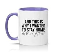 Sassy Souls and This is Why I Wanted to Stay Home All This Right There 11oz Ceramic Novelty Mug Work from Home Office Humour Tea Coffee Cup Light Purple