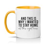 Sassy Souls and This is Why I Wanted to Stay Home All This Right There 11oz Ceramic Novelty Mug Work from Home Office Humour Tea Coffee Cup Golden Yellow