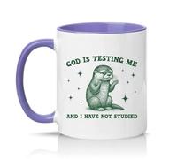 Sassy Souls God is Testing Me and I Have Not Studied 11oz Ceramic Novelty Mug Study Humour Office Humour Tea Coffee Cup Gift Light Purple
