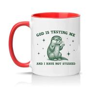 Sassy Souls God is Testing Me and I Have Not Studied 11oz Ceramic Novelty Mug Study Humour Office Humour Tea Coffee Cup Gift Red
