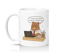 Sassy Souls I Hope This Email Finds You Before I Do 11oz Ceramic Novelty Mug Passive Aggressive Email Office Humour Tea Coffee Cup Gift White