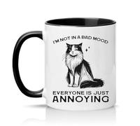 Sassy Souls Im Not in A Bad Mood Everyone is Just Annoying 11oz Ceramic Novelty Mug Grumpy Cat Pet Owners Office Humour Tea Coffee Cup Gift Black