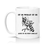 Sassy Souls It is What It is and It is Not 11oz Ceramic Novelty Mug Sarcastic Office Humour Tea Coffee Cup White