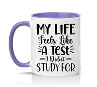 Sassy Souls My Life Feels Like A Test I Didnt Study for 11oz Ceramic Novelty Mug Student Exam Stress Education Humour Tea Coffee Cup Light Purple
