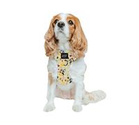 Sassy Woof Dog Adjustable Harness - Disney Princess Beauty and The Beast Belle - S, Breathable Mesh, No Pull Design with Two D-Rings, Perfect for Medium Dogs - Officially Licensed