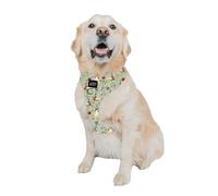 Sassy Woof Dog Adjustable Harness - Disney Princess Snow White - XL, Breathable Mesh, No Pull Design with Two D-Rings, Patented Design, Perfect for Extra Large Dogs - Officially Licensed