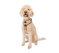 Sassy Woof Dog Adjustable Harness - Harry Potter™ Marauder's Map™ - L, Breathable Mesh, No Pull Design with Two D-Rings, Ideal for Large Dogs - Officially Licensed
