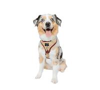 Sassy Woof Dog Adjustable Harness - Harry Potter™ Marauder's Map™ - M, Breathable Mesh, No Pull Design with Two D-Rings, Perfect for Medium Dogs - Officially Licensed