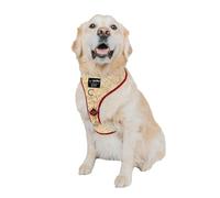 Sassy Woof Dog Adjustable Harness - Harry Potter™ Marauder's Map™ - XL, Breathable Mesh, No Pull Design with Two D-Rings, Perfect for Extra Large Dogs - Officially Licensed