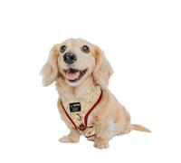 Sassy Woof Dog Adjustable Harness - Harry Potter™ Marauder's Map™ - XS, Breathable Mesh, No Pull Design with Two D-Rings, Perfect for Small Dogs and Puppies - Officially Licensed