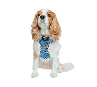 Sassy Woof Dog Adjustable Harness - Hot Wheels™ - S, Breathable Mesh, No Pull Design with Two D-Rings, Perfect for Small Dogs - Officially Licensed