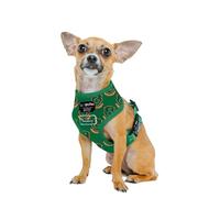 Sassy Woof Dog Reversible Harness - Harry Potter™ Slytherin - XS, Breathable Mesh, No Pull Design with Two D-Rings, Patented Design, Perfect for Small Dogs and Puppies - Officially Licensed