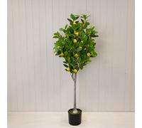Satchville Artificial Lemon Tree