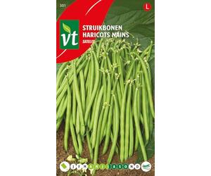 Satelit Beans - Tasty extra fine pods - 25 g - Seeds per gram: 7