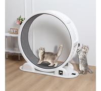 Saterkali Cat Wheel Cat Exercise Wheel for Indoor Cats,Cat Running Wheel with Counter Display Cat Treadmill Scratching with Locking Mechanism,Running Wheel Gift for Kitty's Weight Loss and Health Whi