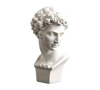 Saterkali Classic David Statue Replica Resin Sculpture Model for Drawing Practice, 6 Inch White Gr ust Figurine, Detailed Artistic Ornament for Studio Desk Decor and Sketching Reference A