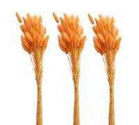 Saterkali Home Decoration Rabbit Tail Dried Flowers,1 Set Dried Flower Bouquet Romantic Easter Celebration Bunny Tail Household Products Orange 50pcs
